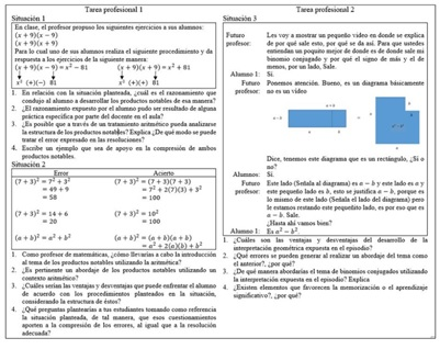 Naturaleza De Las Tareas Profesionales En La Formacion De Profesores De Matematicas