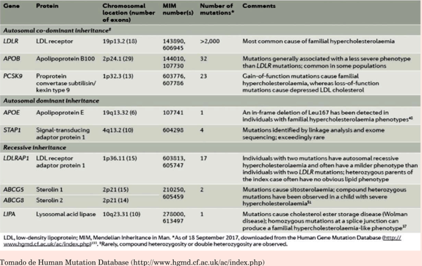 Hipercolesterolemia Familiar - Blog Mendelics